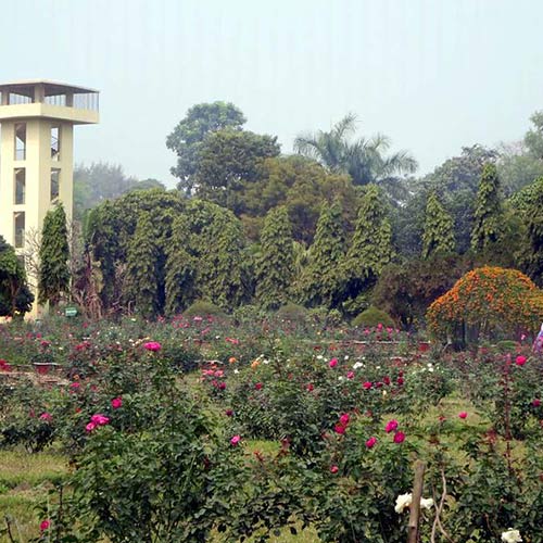 National Botanic Gardens