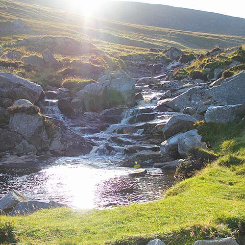 Wicklow Mountains National Park