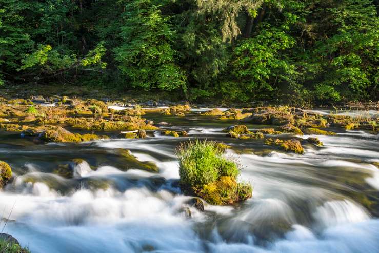 North Umpqua River, Oregon