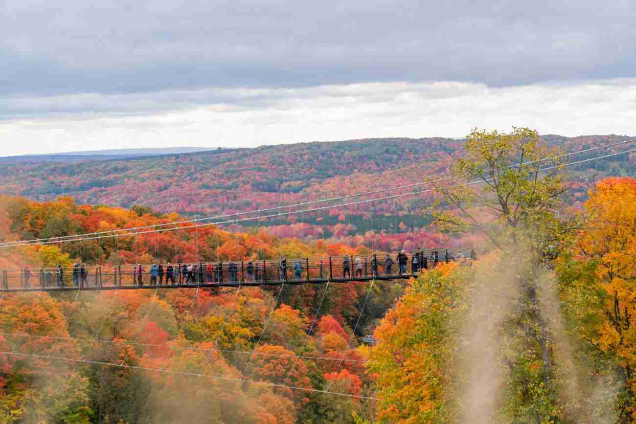 SkyBridge, Boyne Falls