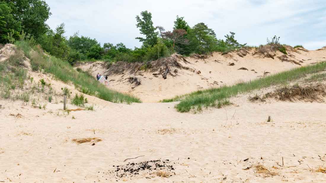 Saugatuck Dune Rides