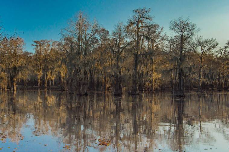 Caddo Lake, Texas and Louisiana