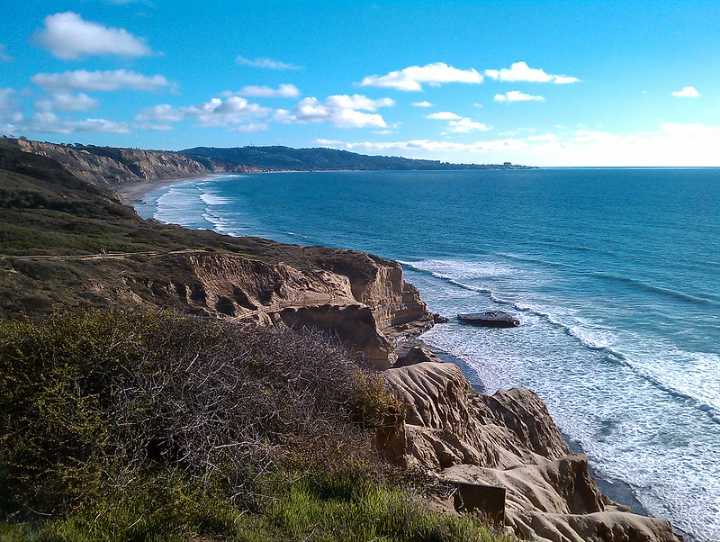 Torrey Pines State National Reserve