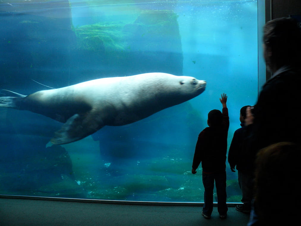 Alaska SeaLife Center  