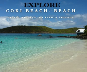 Explore Coki Beach- Beach on Saint Thomas, US Virgin Islands 