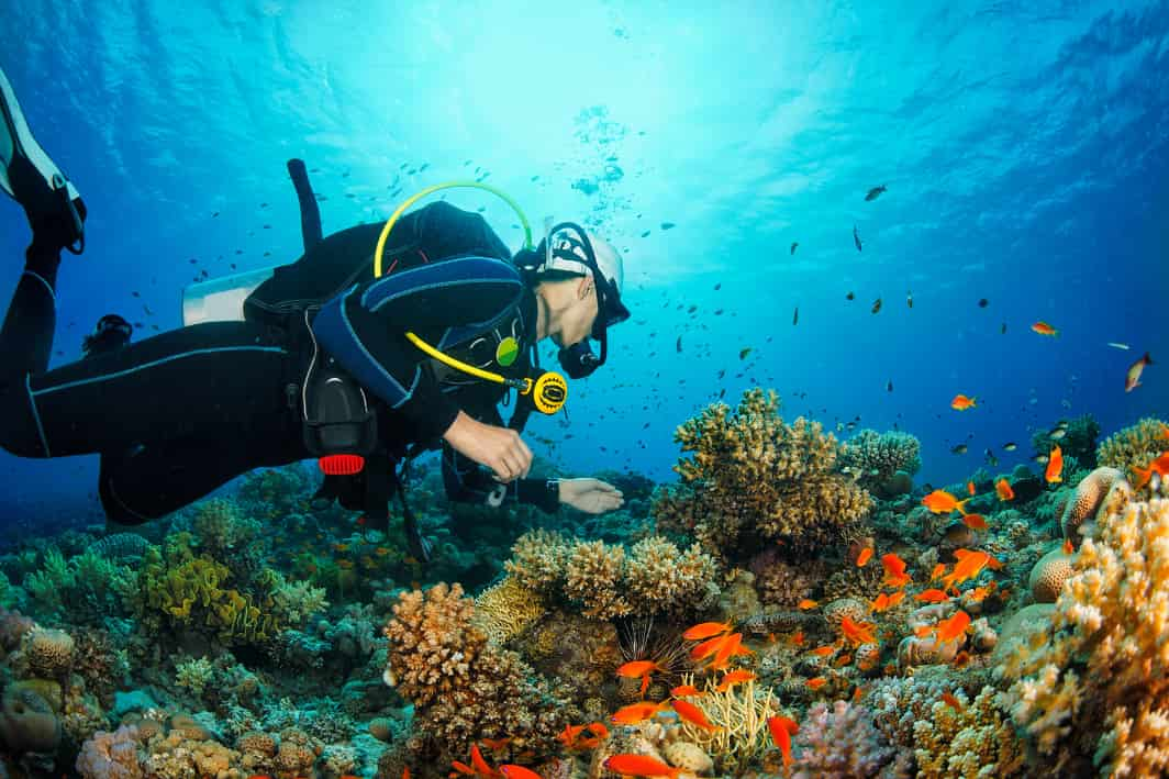 Coki Dive Center: A Scuba Diving Paradise 