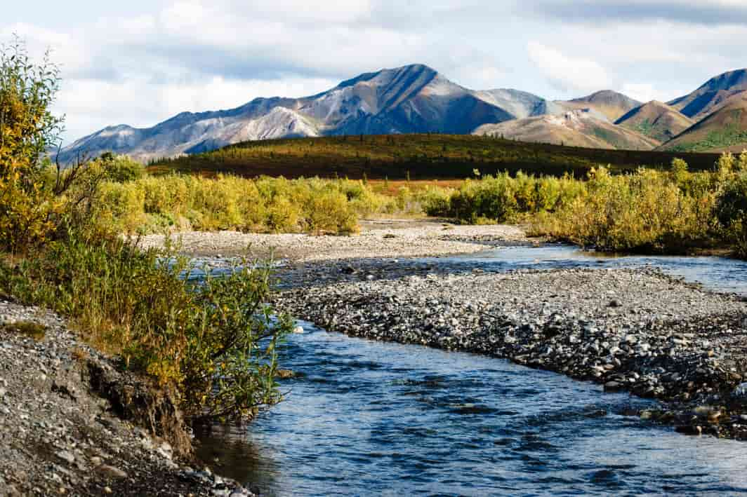 Denali National Park  