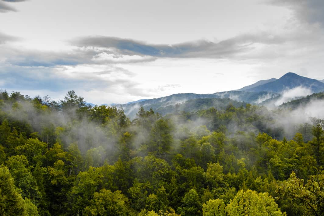 Great Smoky Mountains National Park   