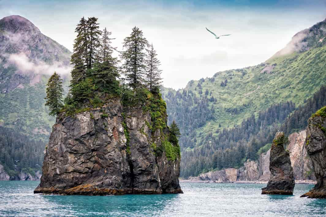 Kenai Fjords National Park  