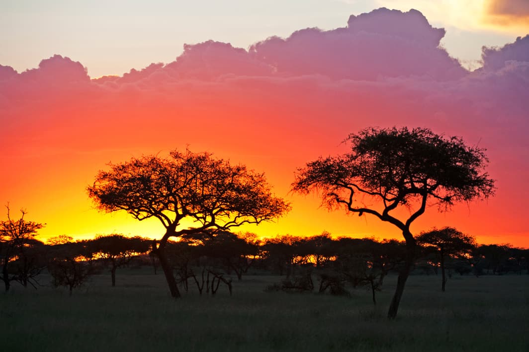 Serengeti National Park  