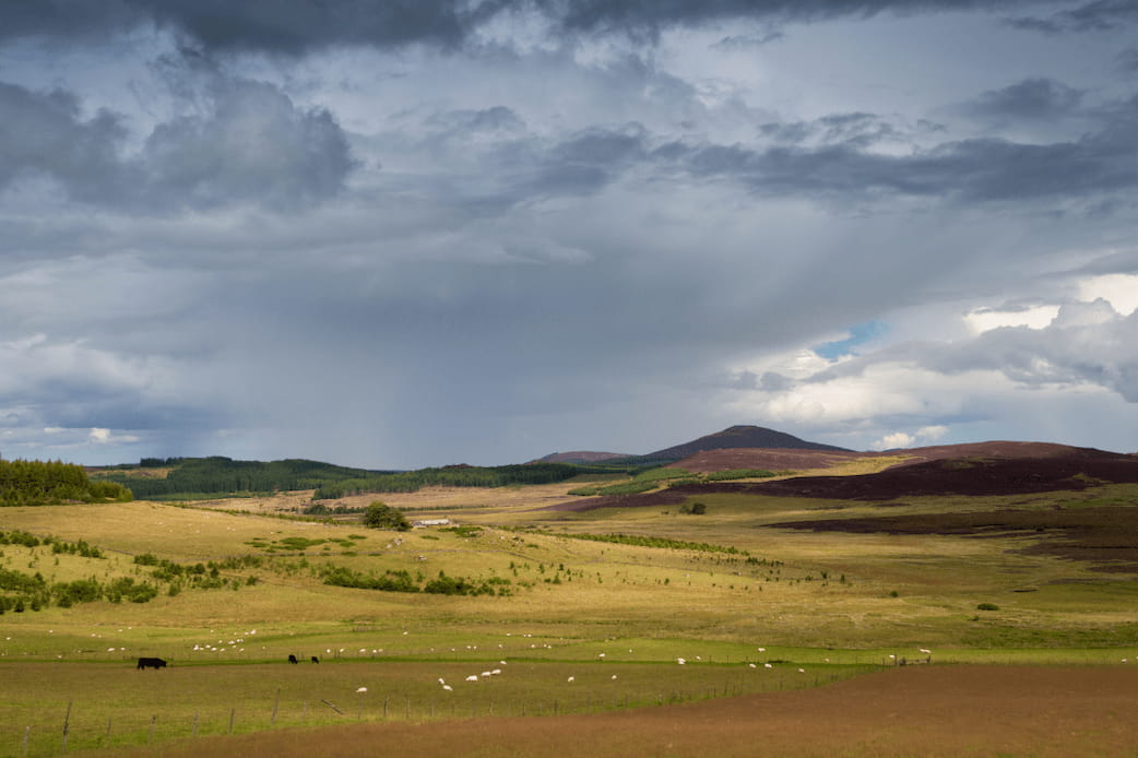 The Cairngorms National Park, Scotland  