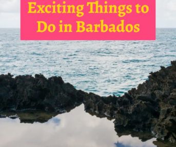 Exciting Things to Do in Barbados