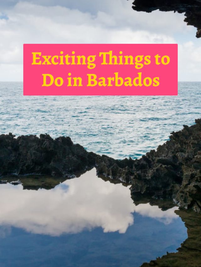 Things to Do in Barbados