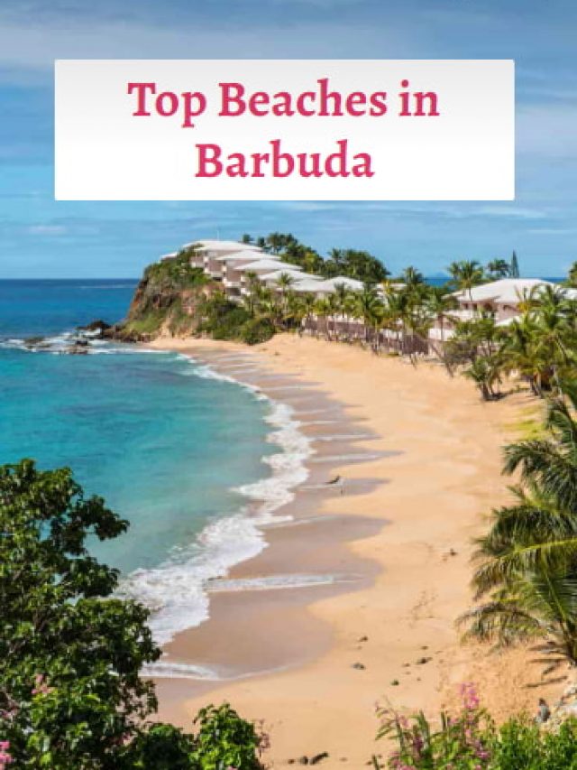 Top Beaches in Barbuda