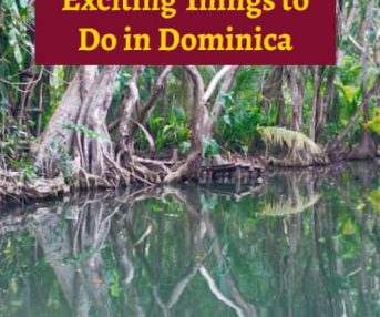 exciting things in do in dominica