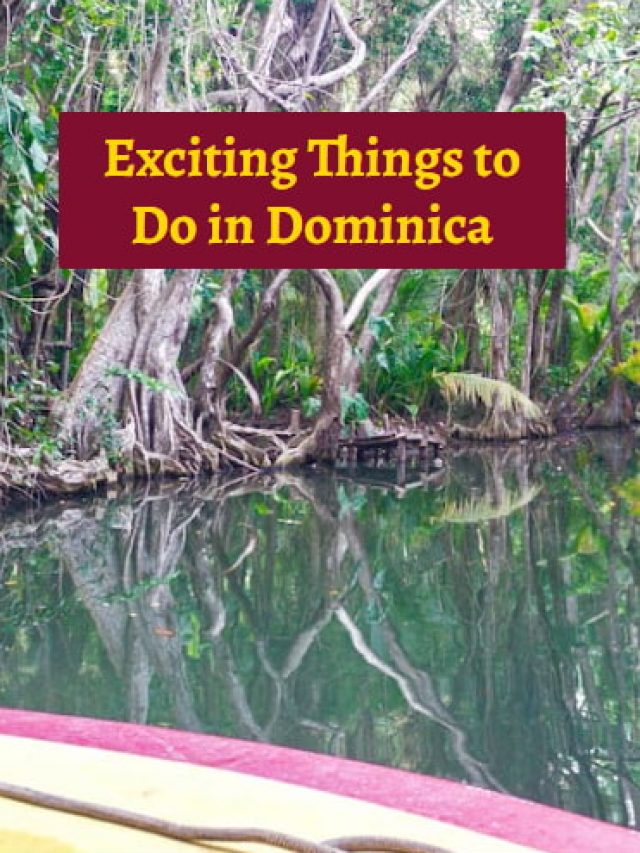 Exciting Things to Do in Dominica