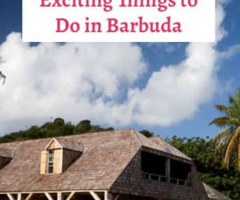 exciting things to do in barbuda