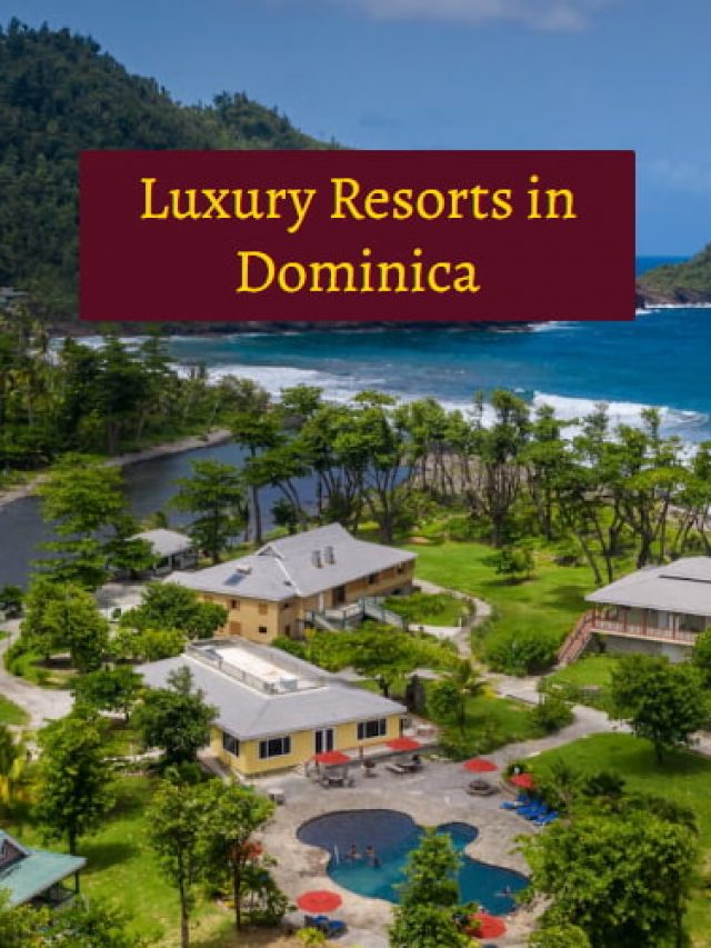 Luxury Resorts in Dominica