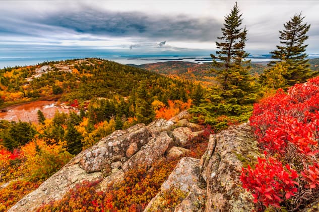 Acadia National Park  