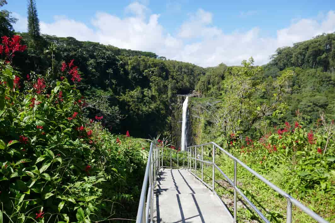 Akaka Falls State Park 