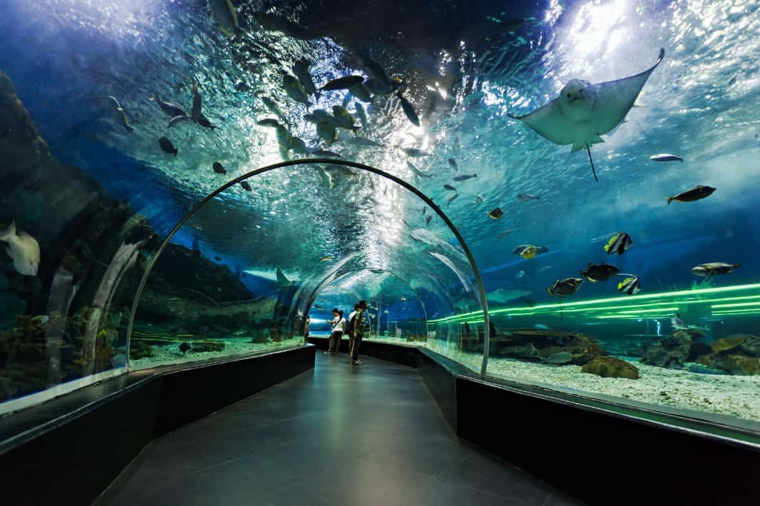 Dubai Aquarium & Underwater Zoo 