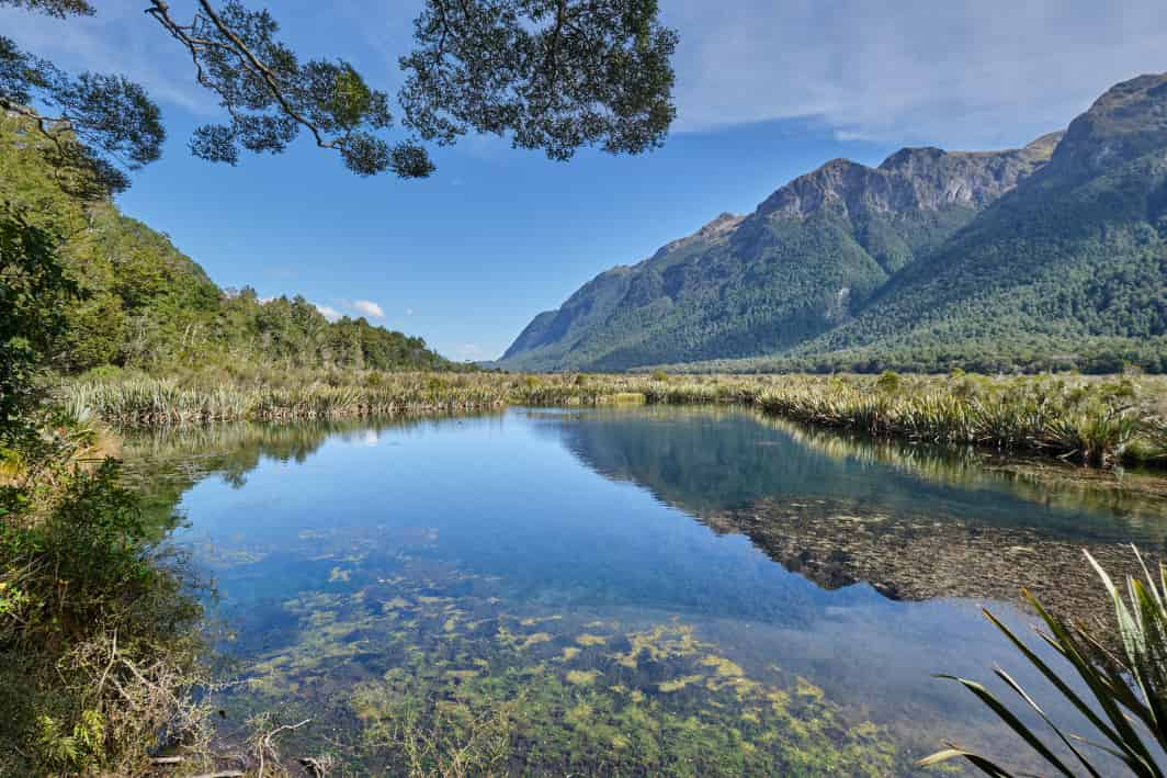 Fiordland National Park, New Zealand 