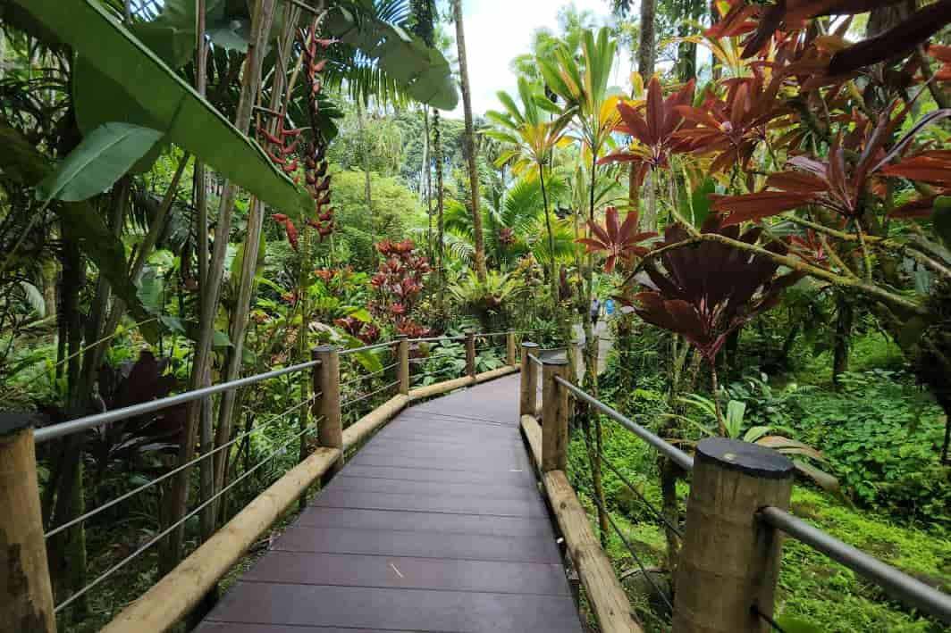 Hawaii Tropical Bioreserve & Garden 