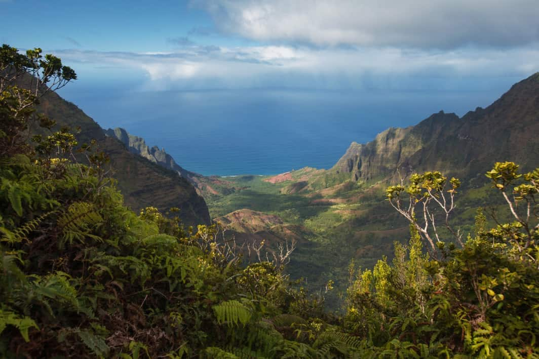 Kauai Garden Isle Retreat - Kauai 