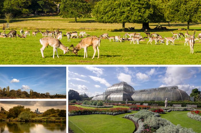 London Nature & Wildlife Tour Package 