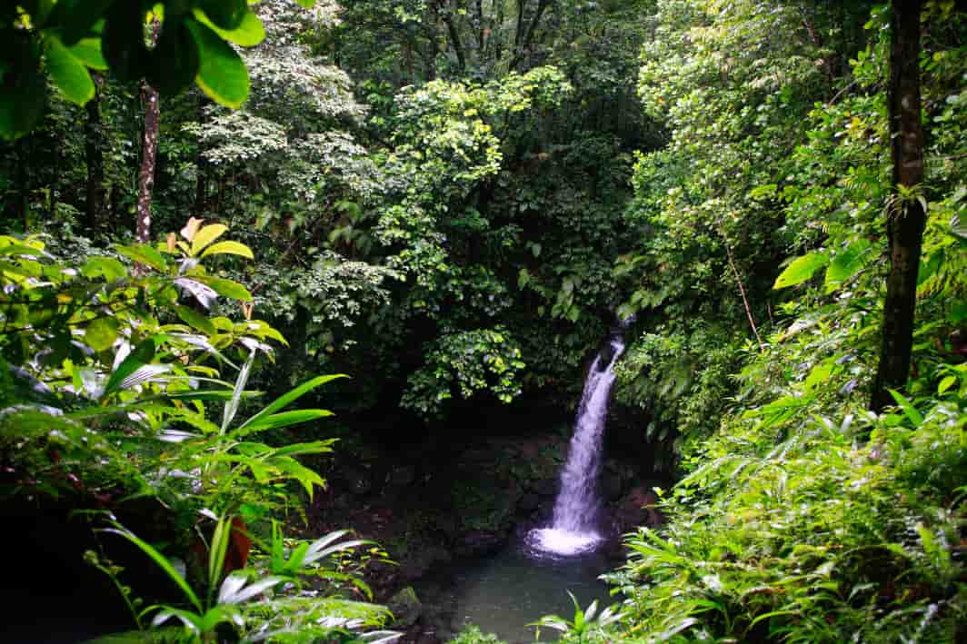 Morne Trois Pitons National Park, Dominica 