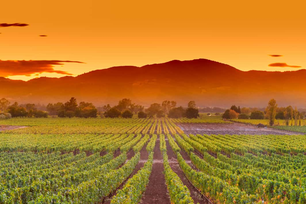 Napa Valley, California  