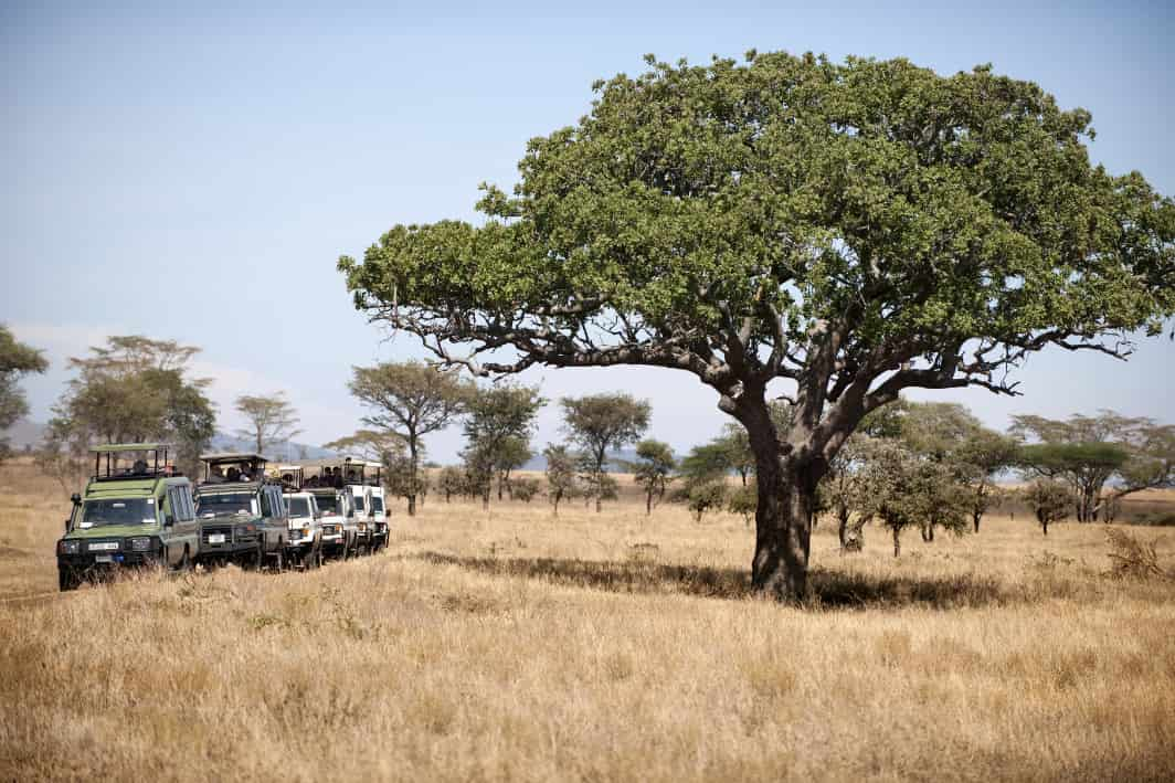 Serengeti National Park, Tanzania 