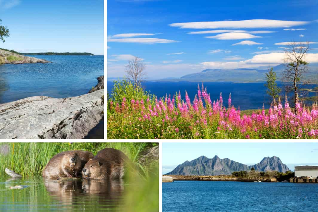 Swedish Nature Retreats: Lakes and National Parks 