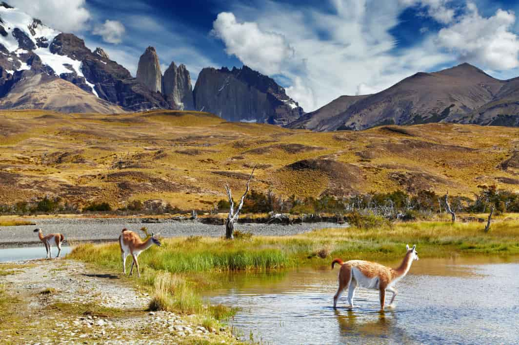 Torres del Paine National Park, Patagonia, Chile 