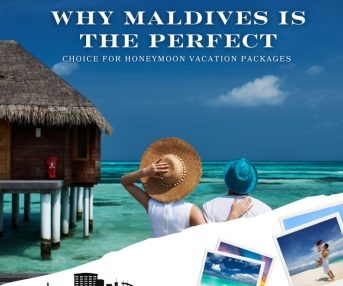 Why Maldives Is the Perfect Choice for Honeymoon Vacation Packages