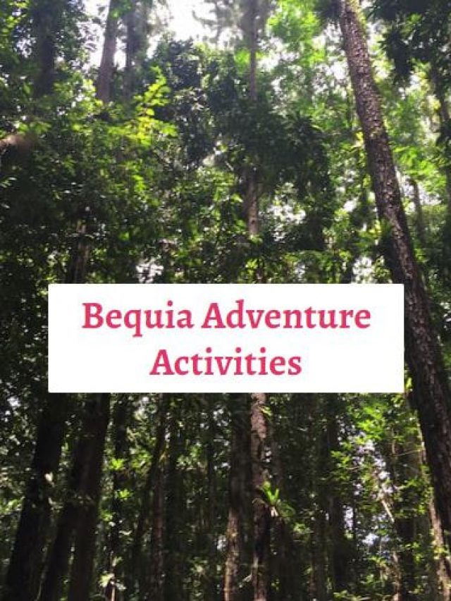 Bequia Adventure Activities