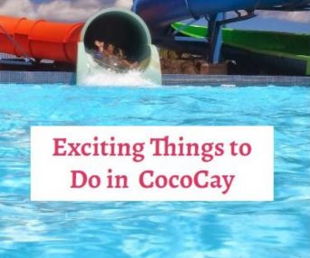 exciting things to do in coco cay