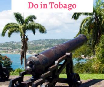 Exciting Things to Do in Tobago