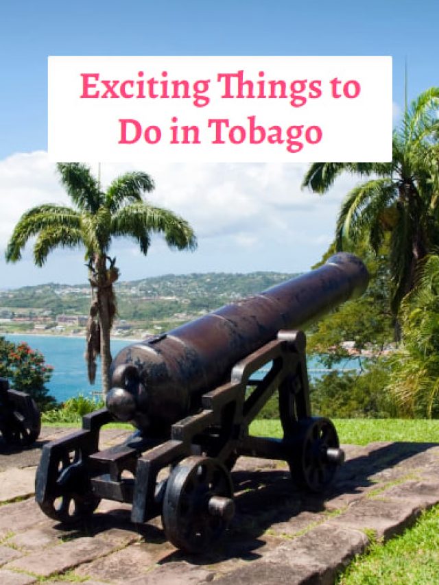 Exciting Things to Do in Tobago