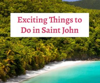 exciting things to do in saint john