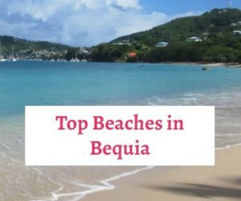 top beaches in bequia