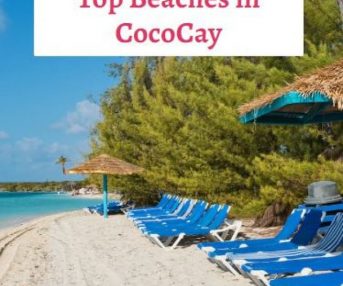 top beaches in cococay