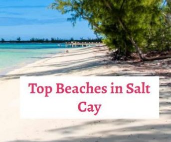 top-beaches-in-salt-cay