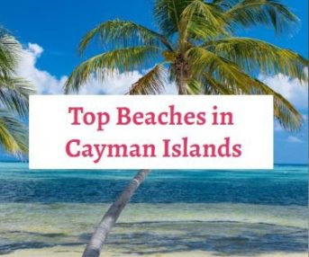 cropped-top-beachesi-n-cayman-islands.jpg